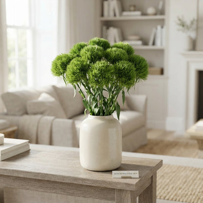Sweet William ‘Kiwi Mellow’ Green Cut Flowers – 50cm