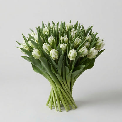 FeedSync:wholesale:dfc4e77bb08b3e248710731e3619e6b608841334
