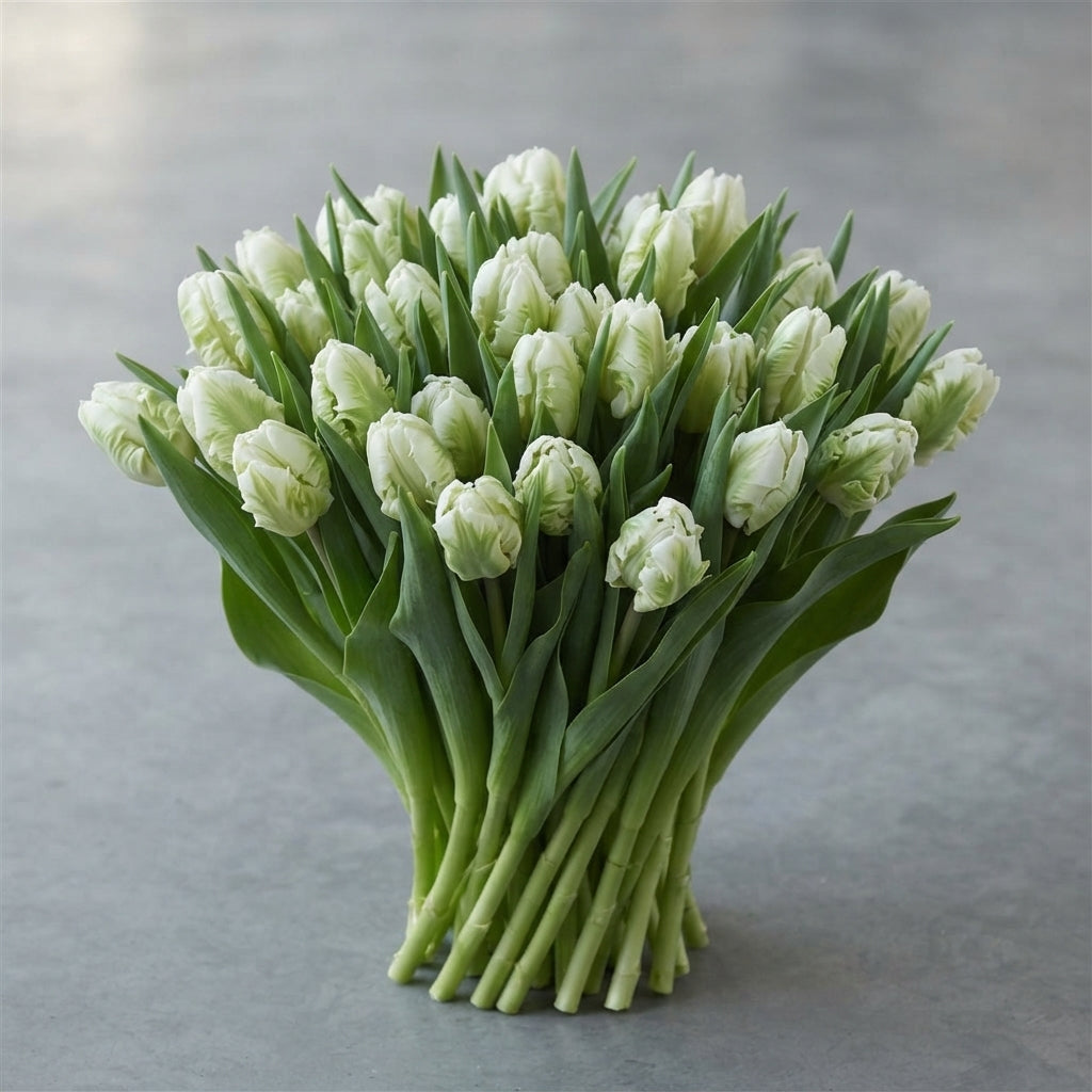 FeedSync:wholesale:9b035e021abd1d69d91a089f31ea553038a58454