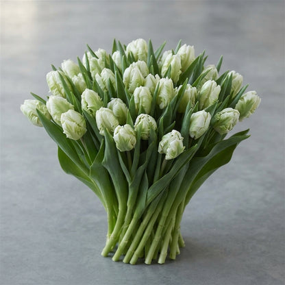 FeedSync:wholesale:9b035e021abd1d69d91a089f31ea553038a58454