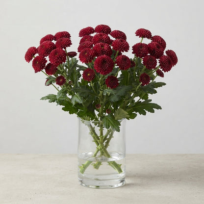 FeedSync:wholesale:a56b84ac8658973ecfdc9ce8a2cf3c17fc84ef34