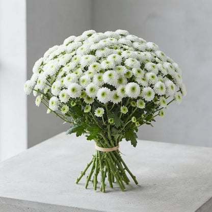 FeedSync:wholesale:563924743bff4a171d4566735b833cdf1f80bc16