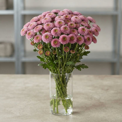 FeedSync:wholesale:202f06b71451836c061411d2d1af33efa5d083a3