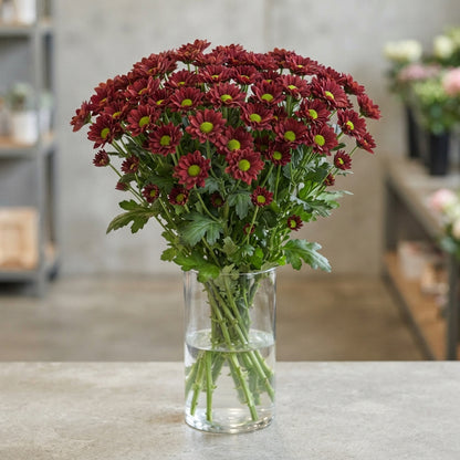 FeedSync:wholesale:0bef9a708ac45e71083c05feecfbc5bd5f5d8cc2