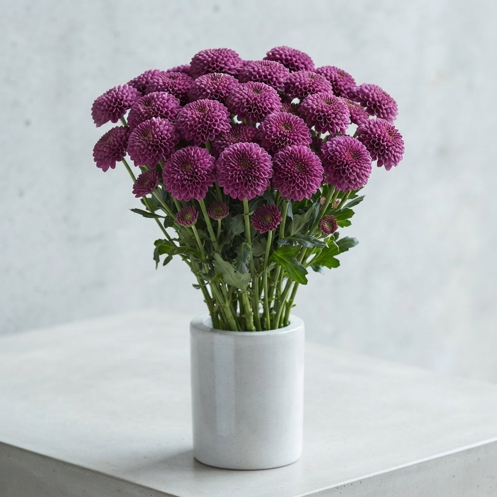 FeedSync:wholesale:f2eea2049db076c7e5937f0b1284ae961700f80e