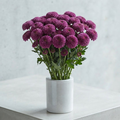FeedSync:wholesale:f2eea2049db076c7e5937f0b1284ae961700f80e