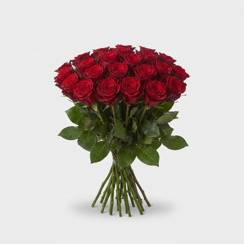 FeedSync:wholesale:9353baa8bf64dbb7f02d6f820fa6ac24a77f5c4c