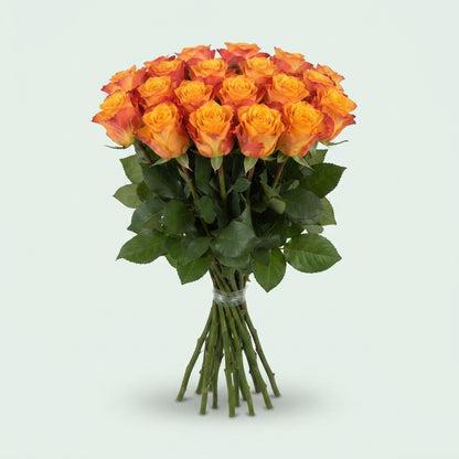 Rose - Rosa - Marie-Claire