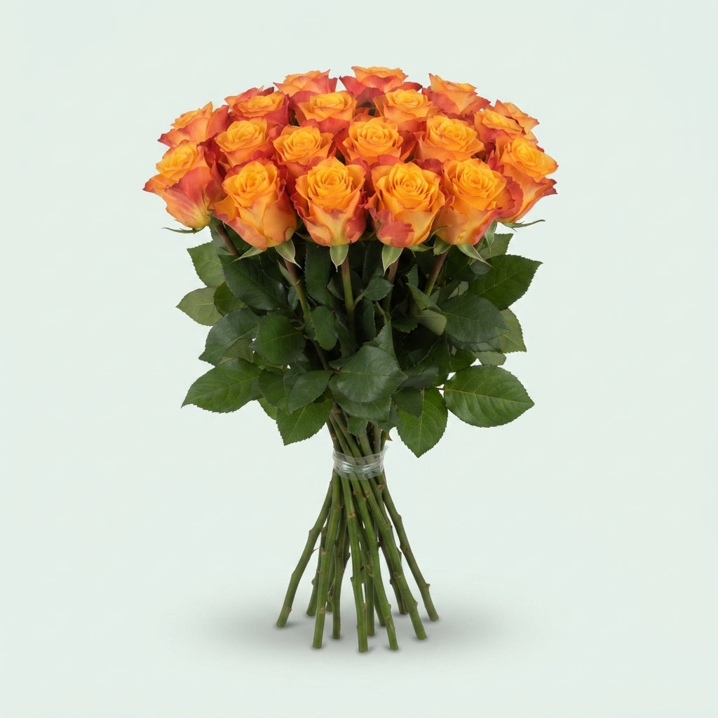 FeedSync:wholesale:bca421f7fd78bd1c7cb57cb1d620312a8fb8dfe0