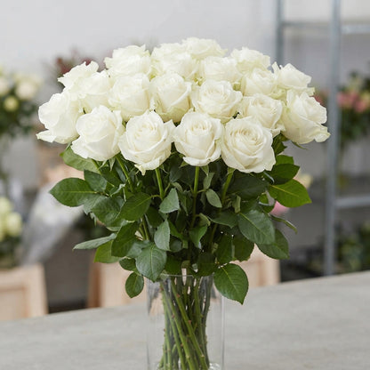 FeedSync:wholesale:2553db1df0c485dba20c03c964981acb9790bc74