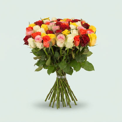 FeedSync:wholesale:9691e663fb80bc551abfa5e7b18118aab75040ad