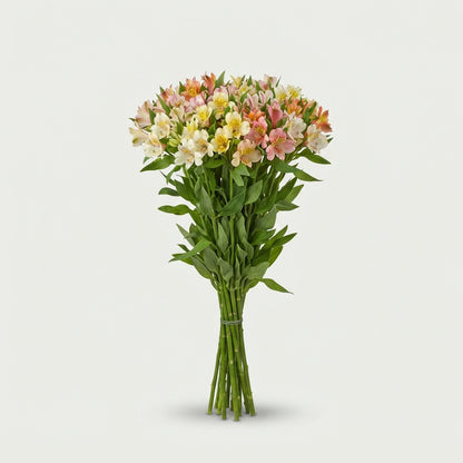 FeedSync:wholesale:a6f33189eb005d1e6b71b7584b17fbe8f1c810aa