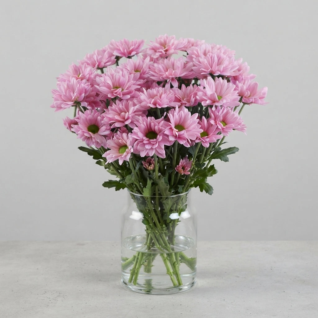 FeedSync:wholesale:55ba60af63f6456c4541a4f7febf32923182d00c