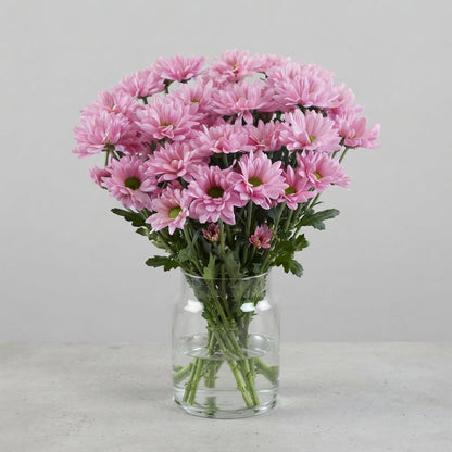 FeedSync:wholesale:55ba60af63f6456c4541a4f7febf32923182d00c