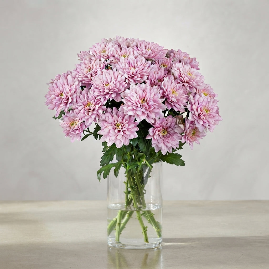 FeedSync:wholesale:a967bb58dde39f983e7efe5ea96ac9af05c23a16
