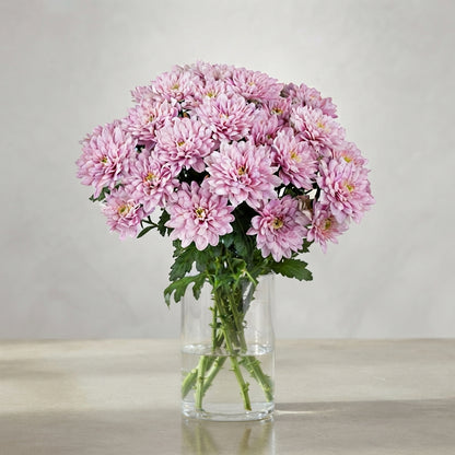 FeedSync:wholesale:a967bb58dde39f983e7efe5ea96ac9af05c23a16