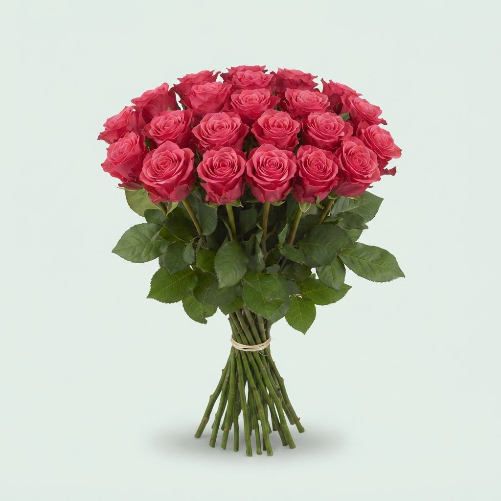 FeedSync:wholesale:f060f5b895dd162c544df35c68c18440db4f4d94