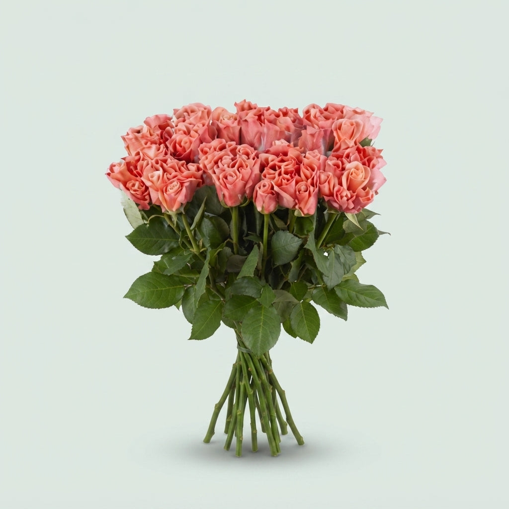Rose - Rosa - Miss Piggy+