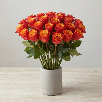 FeedSync:wholesale:24f22fdb79584f62026213c46729fae103a35810