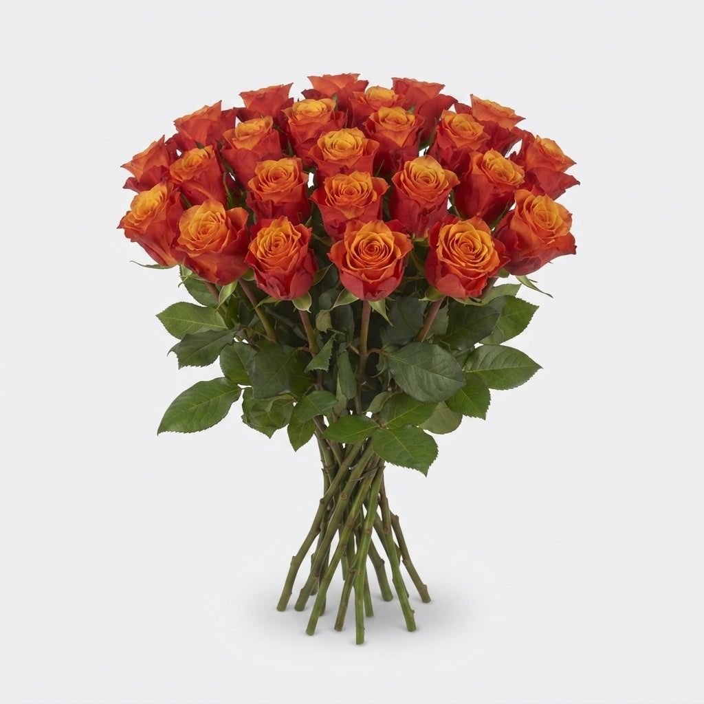 FeedSync:wholesale:6996d730f84ef71b43c0974f04eea28a1a2093c3