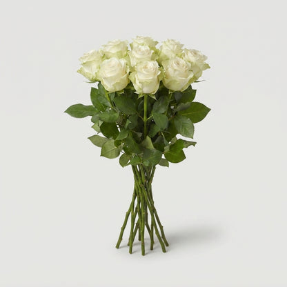 FeedSync:wholesale:df58ccce69e47dfc3e820fc4f38e6267e7584ccf
