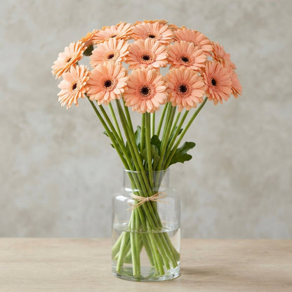 FeedSync:wholesale:a429265a6d159f9ae7714cba3cf2cd6e1c03964a