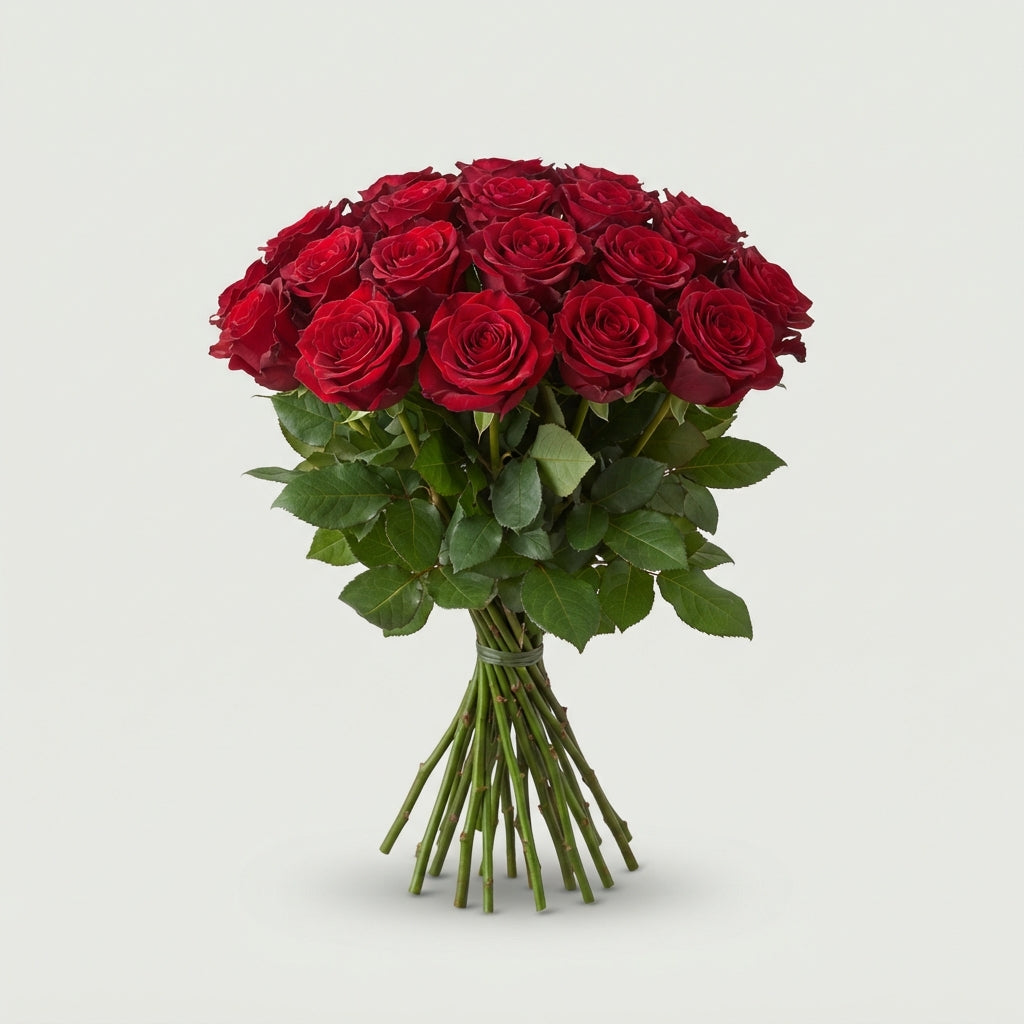 FeedSync:wholesale:d703b996be146694b915c82193d58f9cdbd45ba8