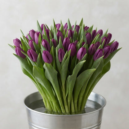 FeedSync:wholesale:db36c9111dc5e0da5e33cab0616ab88d3f441586