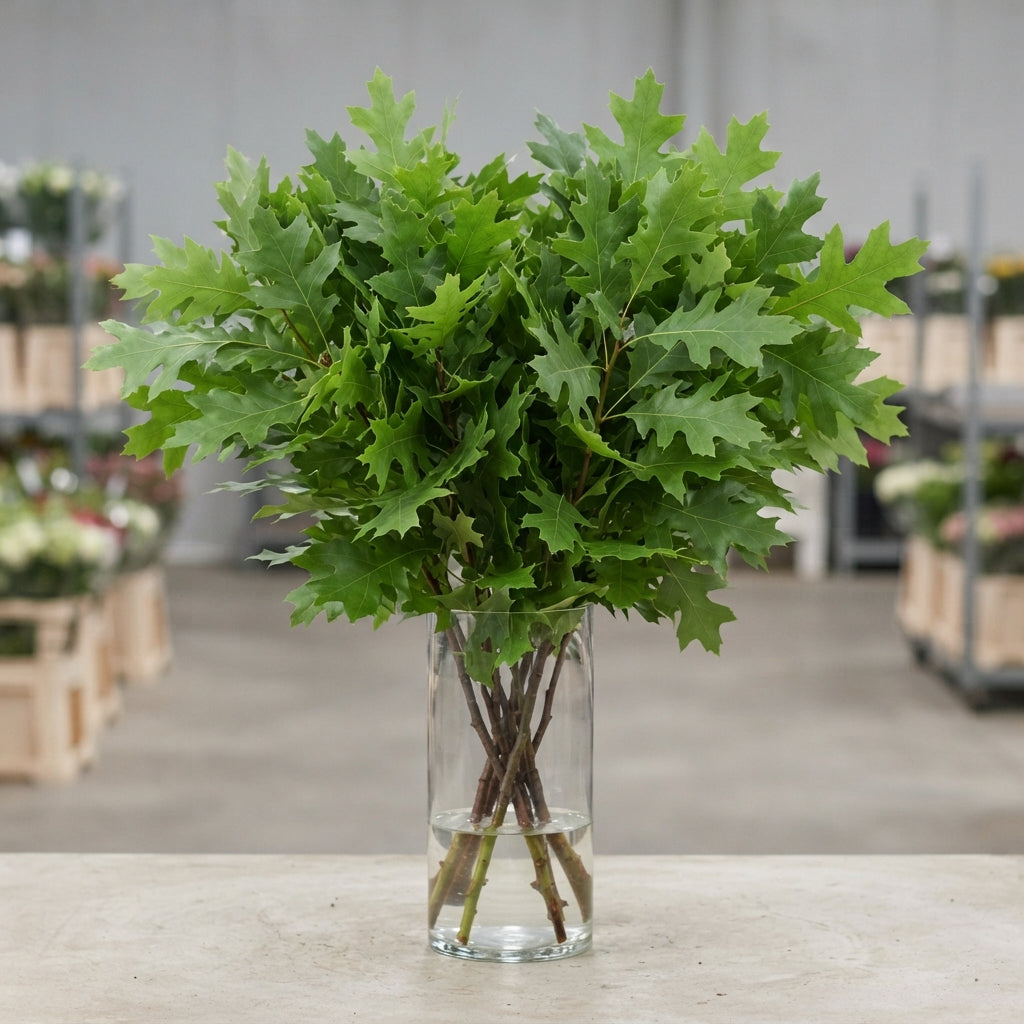 FeedSync:wholesale:fabf4bb7a7c5153daeeb9dde27bd66f404e48508