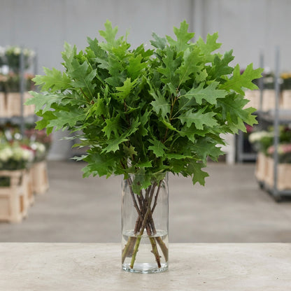 FeedSync:wholesale:fabf4bb7a7c5153daeeb9dde27bd66f404e48508