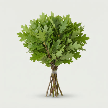 FeedSync:wholesale:50f94365577dc726ebbdf05f62aad719cece1bc6