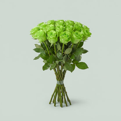 Rose - Rosa - Glow In The Dark
