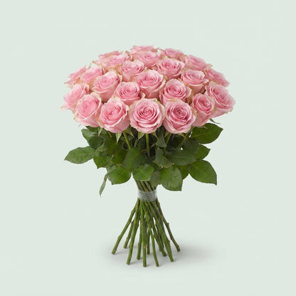Rose - Rosa - Heaven