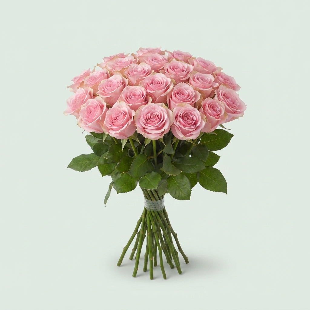 FeedSync:wholesale:735069885a31ca17d1965a77adb7cb0666733d12
