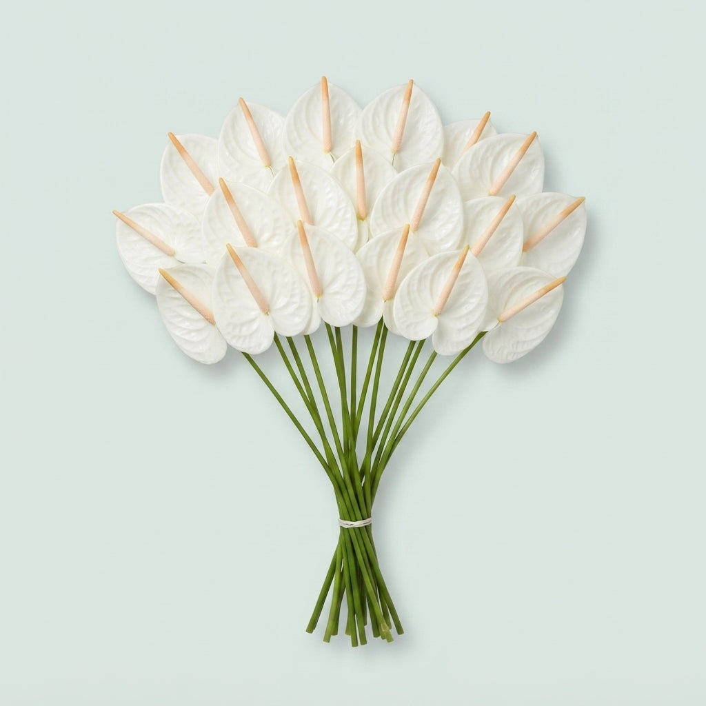 FeedSync:wholesale:1784bf91d6bf3f63074c33a39e80dd104e6e5bbc