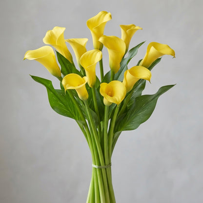 FeedSync:wholesale:809f11078ef5818ffcc65c23499563feb532d5e2