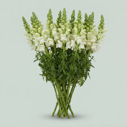 FeedSync:wholesale:b503ff95048833f244b65e74486a2ce9798dbda0