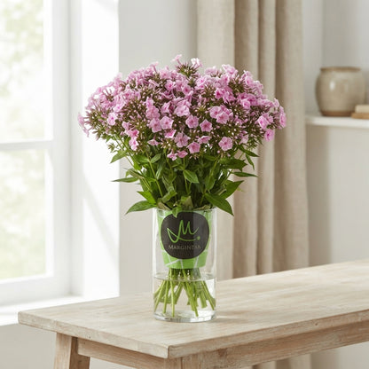Pink Phlox ‘Badaone’ – 60cm Stems