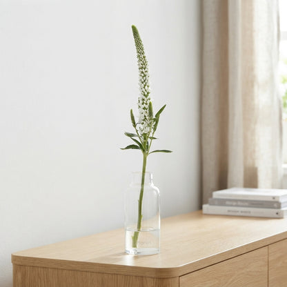 White Veronica ‘Allluna’ – 60cm Stems