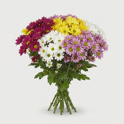 FeedSync:wholesale:bcbd986051e164dfcfca71efeffb4563b7bd6ff0