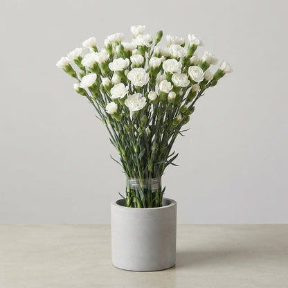 FeedSync:wholesale:fb1963b559366d928ef1c0c6e2841aabf7a2c278