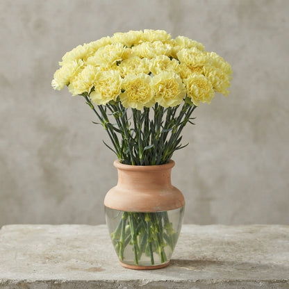 FeedSync:wholesale:5102b0344d6b4cf7ce8d5ee3bda884d45f05b98a
