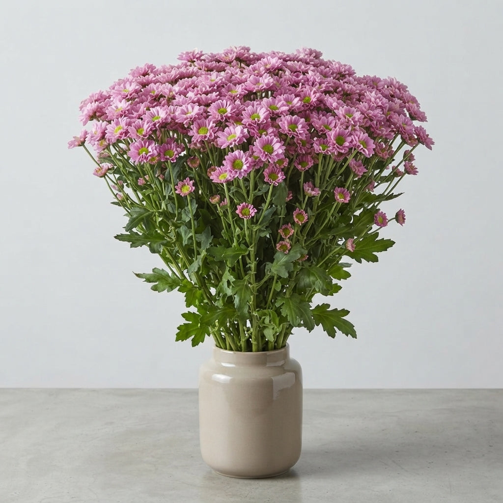 FeedSync:wholesale:82872d2234ff500a2d36bbce28822fa020468bb2