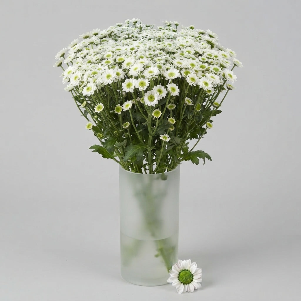 FeedSync:wholesale:91c57730117913c3e0144f42294ffcd9314eb31c