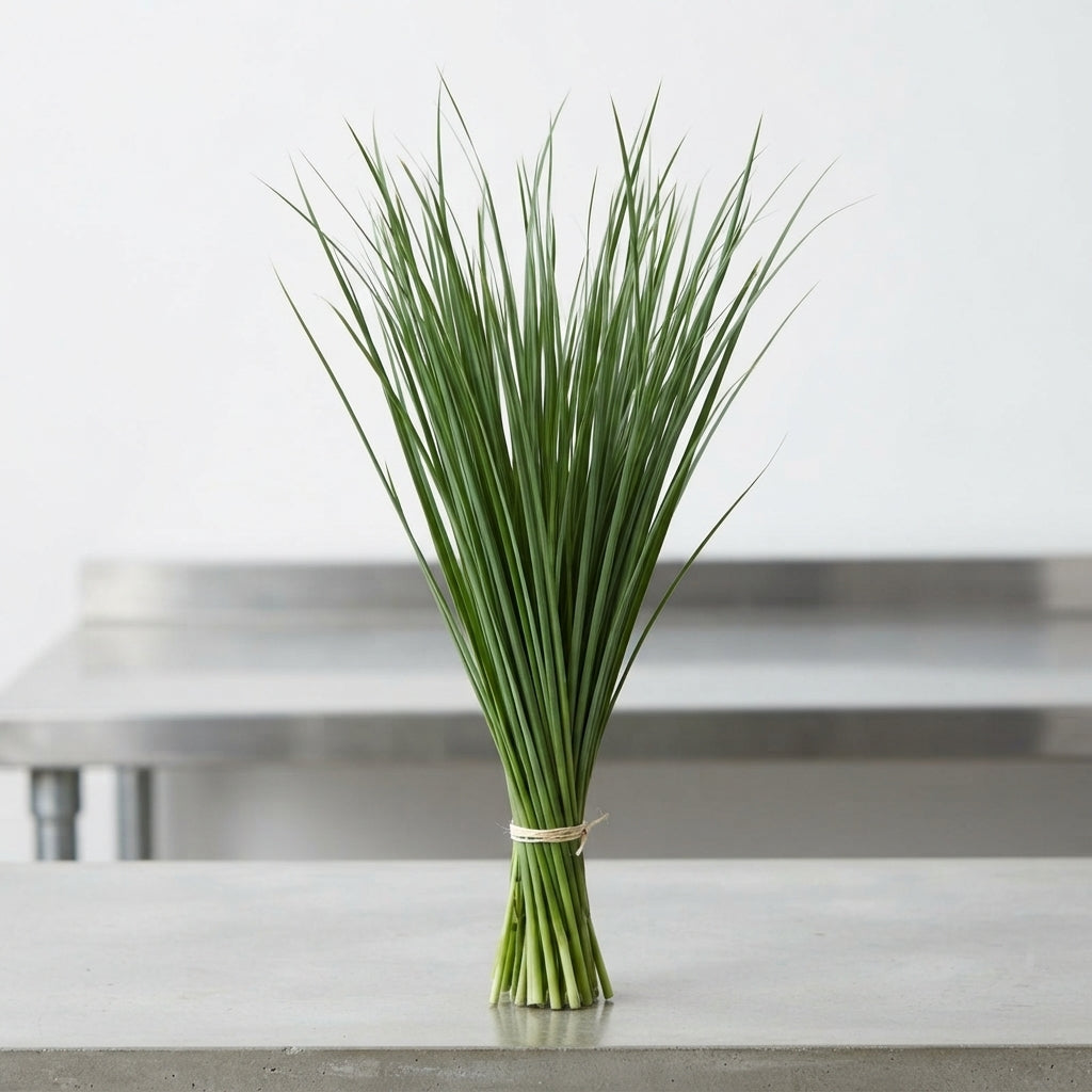 FeedSync:wholesale:03ffa6d242ee2a277aaf2d262b3f0977b5a5eb55