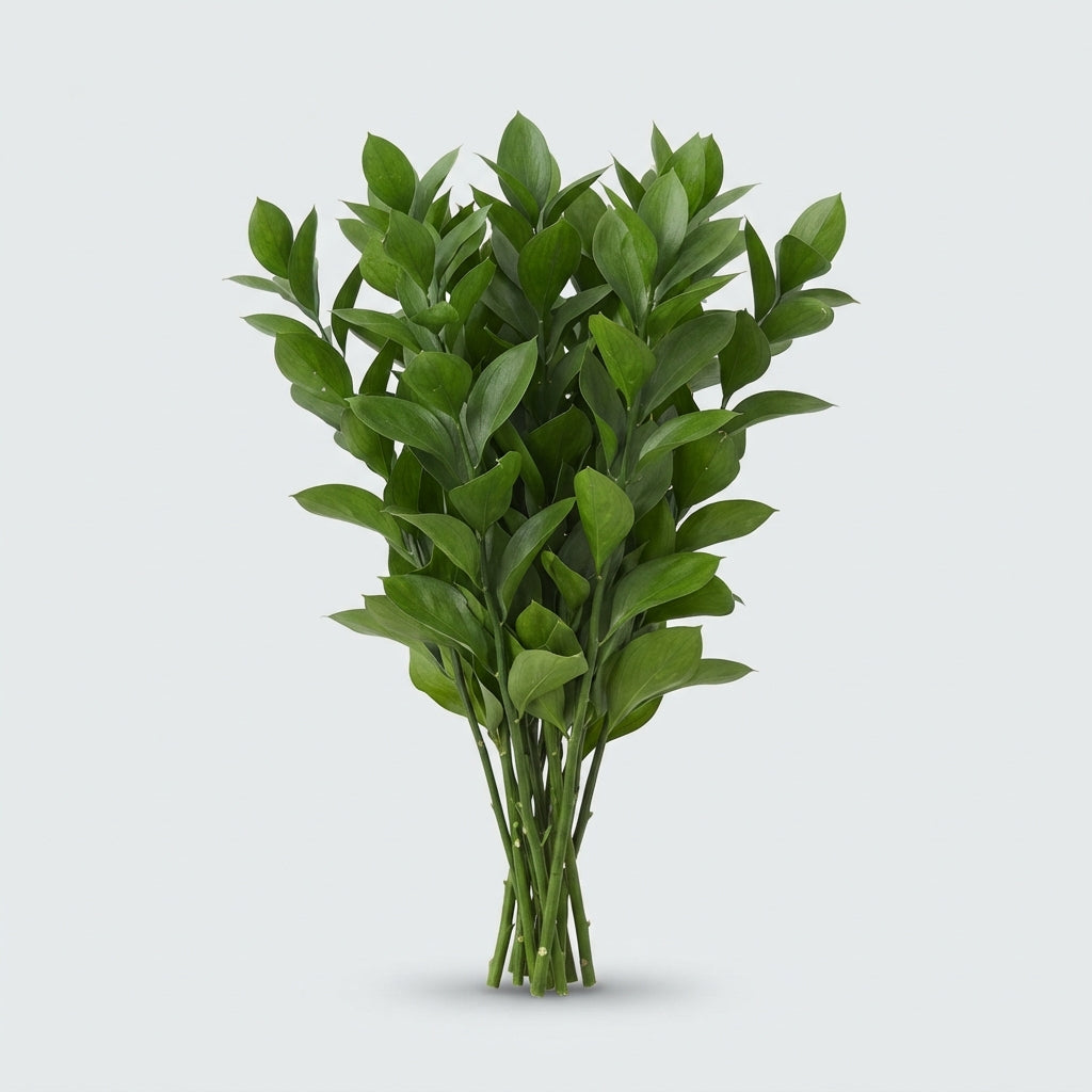 FeedSync:wholesale:6e02017cebfb15046bd1ec4a9a4bb163efdb5476