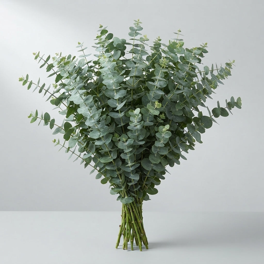 FeedSync:wholesale:7b9ab88209a35f938058133d68f8c9921b07617f
