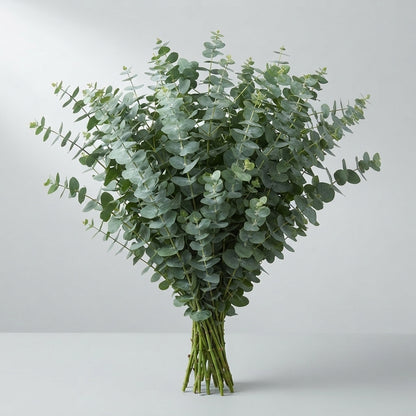 FeedSync:wholesale:7b9ab88209a35f938058133d68f8c9921b07617f