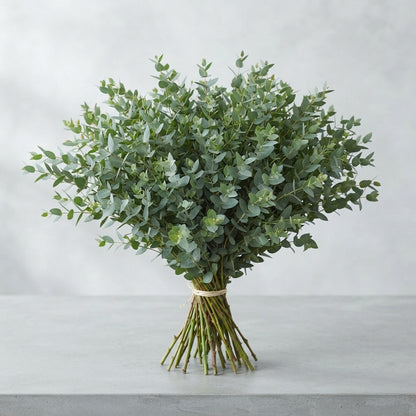 FeedSync:wholesale:6db8f7b8edca26617b248eb84c7c76b94552c0d2
