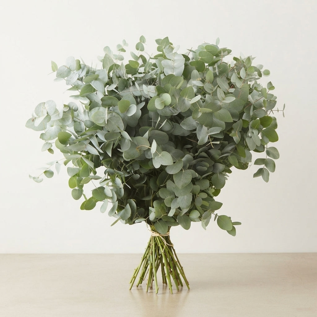 FeedSync:wholesale:f22ddbf9fe9ae12a229395df7458c85f680fbd31